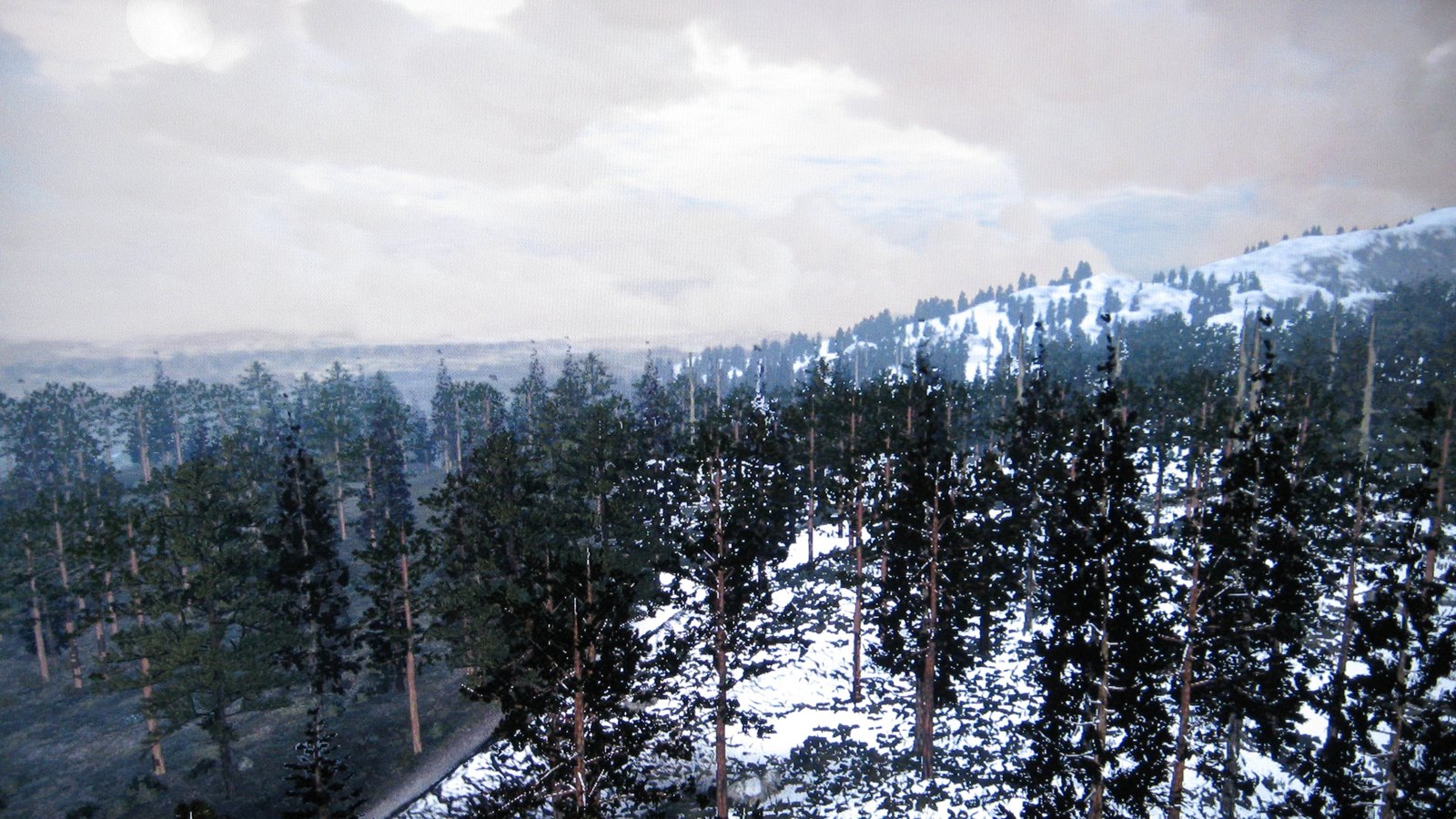 Les forêts de pins enneigées de Tall Trees, dans West Elizabeth